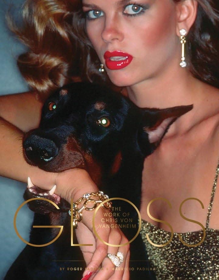 Gloss: The Work of Chris von Wangenheim Hardcover – September 15, 2015