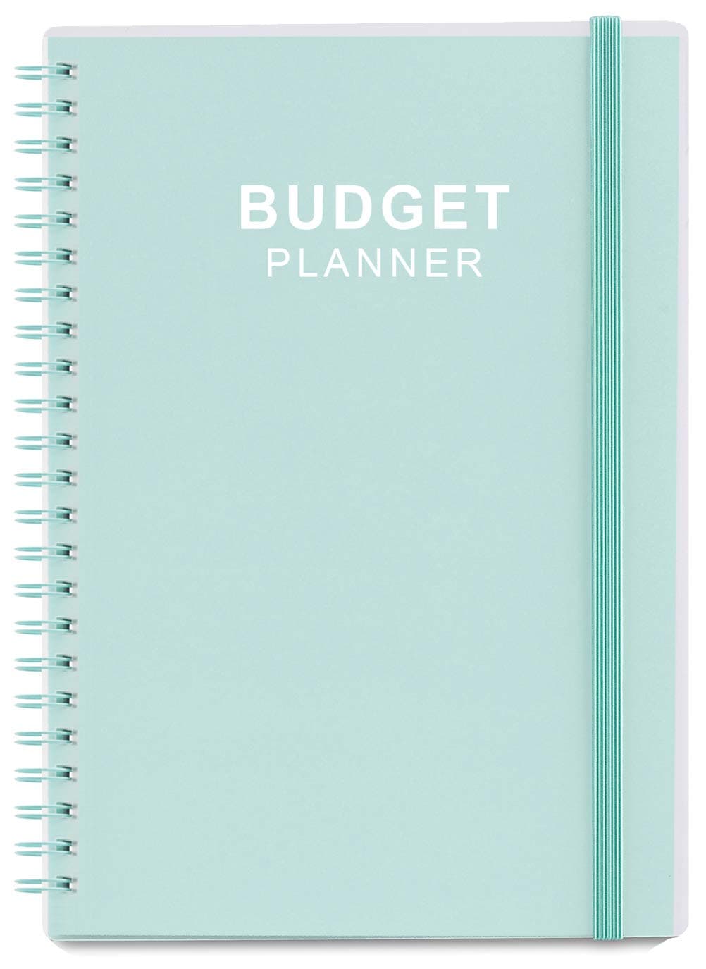 Nokingo Budget Planner - Monthly Finance Organizer with Expense Tracker Notebook to Manage Your Money Effectively, Undated Finance Planner/Account Book, Start Anytime, 1 Year Use, A5, Teal