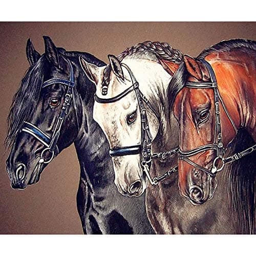 Kaliosy 5D DIY Diamond Painting by Number Kits Three Horses, Paint with Diamonds Arts Wall Stickers for Living Room Bedroom 16X20 inch (X65)