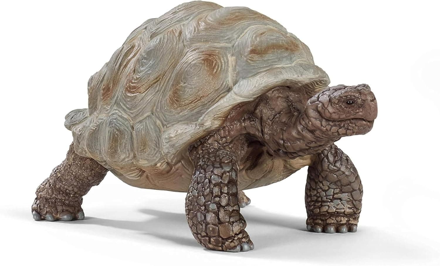 SCHLEICH Wild Life - Giant Tortoise Figurine - Realistic Galapagos Turtle Figure with Detailed Skin Texture - Durable Wildlife Rescue Reptile Toy for Educational Play - Boys and Girls 3+ | 14824