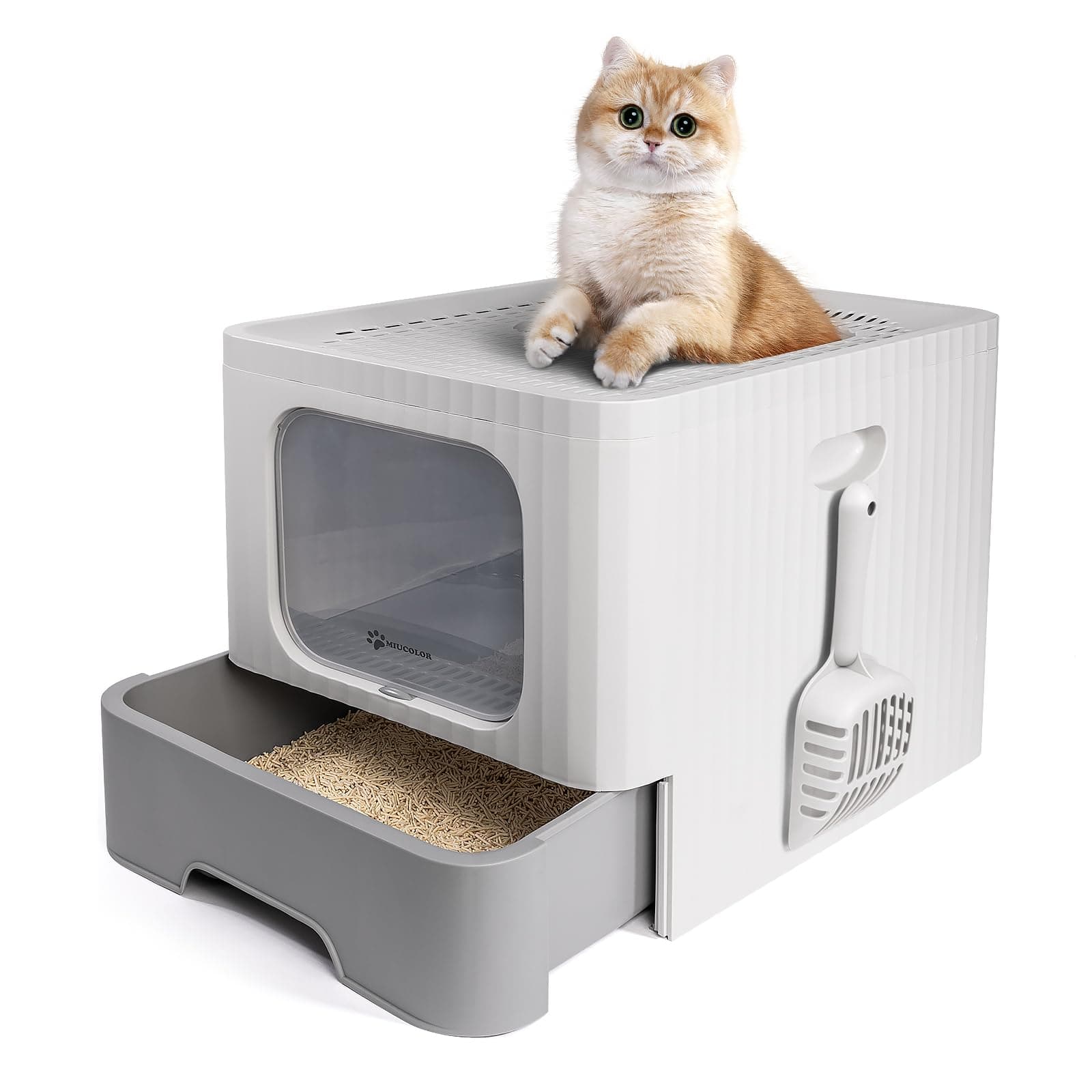 MIU COLOR Litter Box Cat