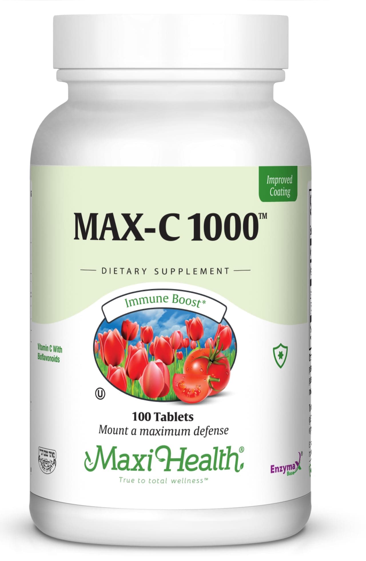 1000 mg Vitamin C - 1000mg Tablets Ultra High Absorption Formula - Gluten Free Kosher Dietary Non GMO Vitamin C Supplement for Immune Support - VIT C Vitamin C Tablets from Ascorbic Acid, 100 Count