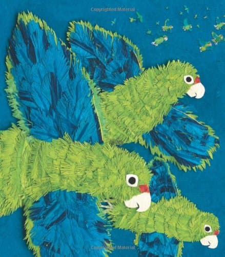 Parrots Over Puerto Rico