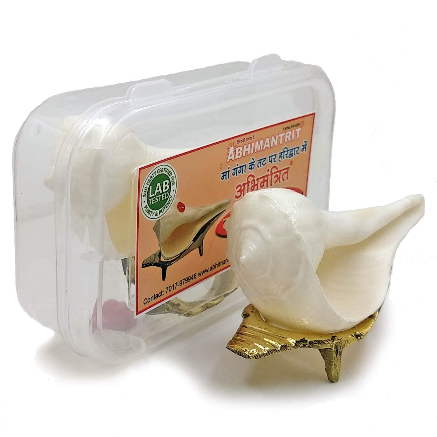 Dakshinavarti Shankh Original Natural with Brass Stand White 3 Inch Small Shank|Shankh for Puja with Vastu/Fengshui blowimg shankh