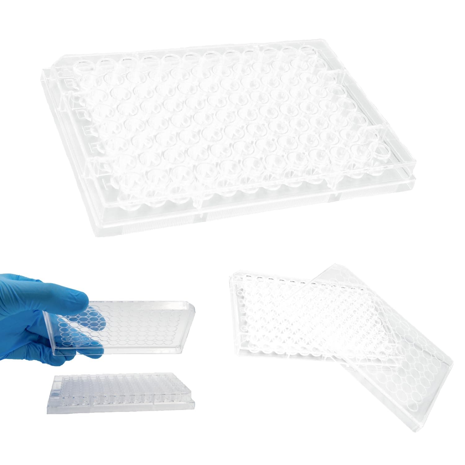 96-Well Polystyrene V-Bottom Microplate, Kashi Scientific Clear Microplate with Lids, Sterile 96 Well Plates [Pack of 100]