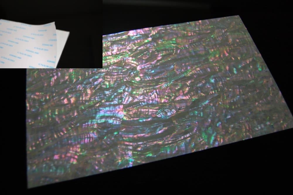 Prism Abalone Wide Shell Sheet
