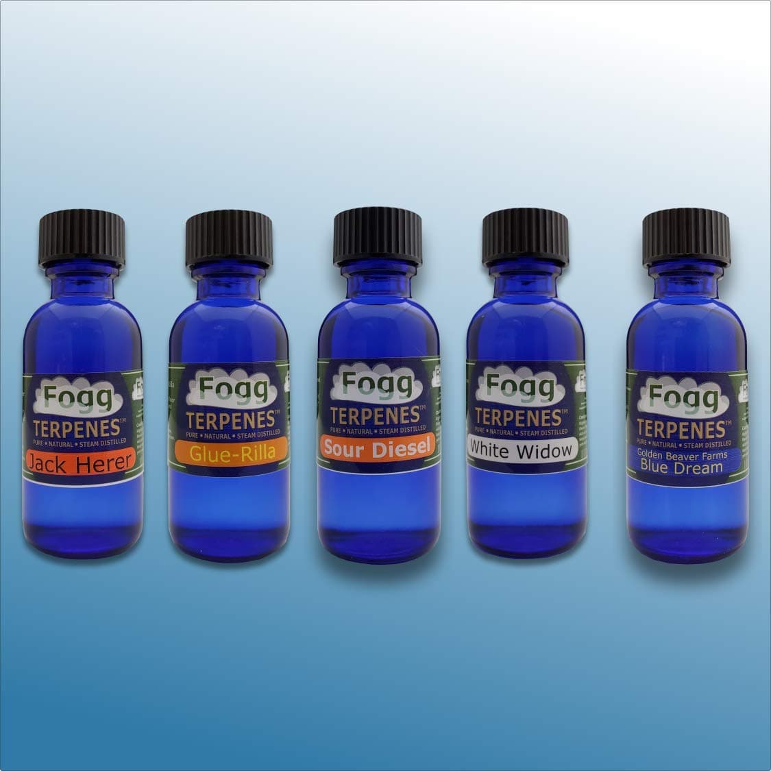 FOGG Terpenes - Variety Pack (30 ml)