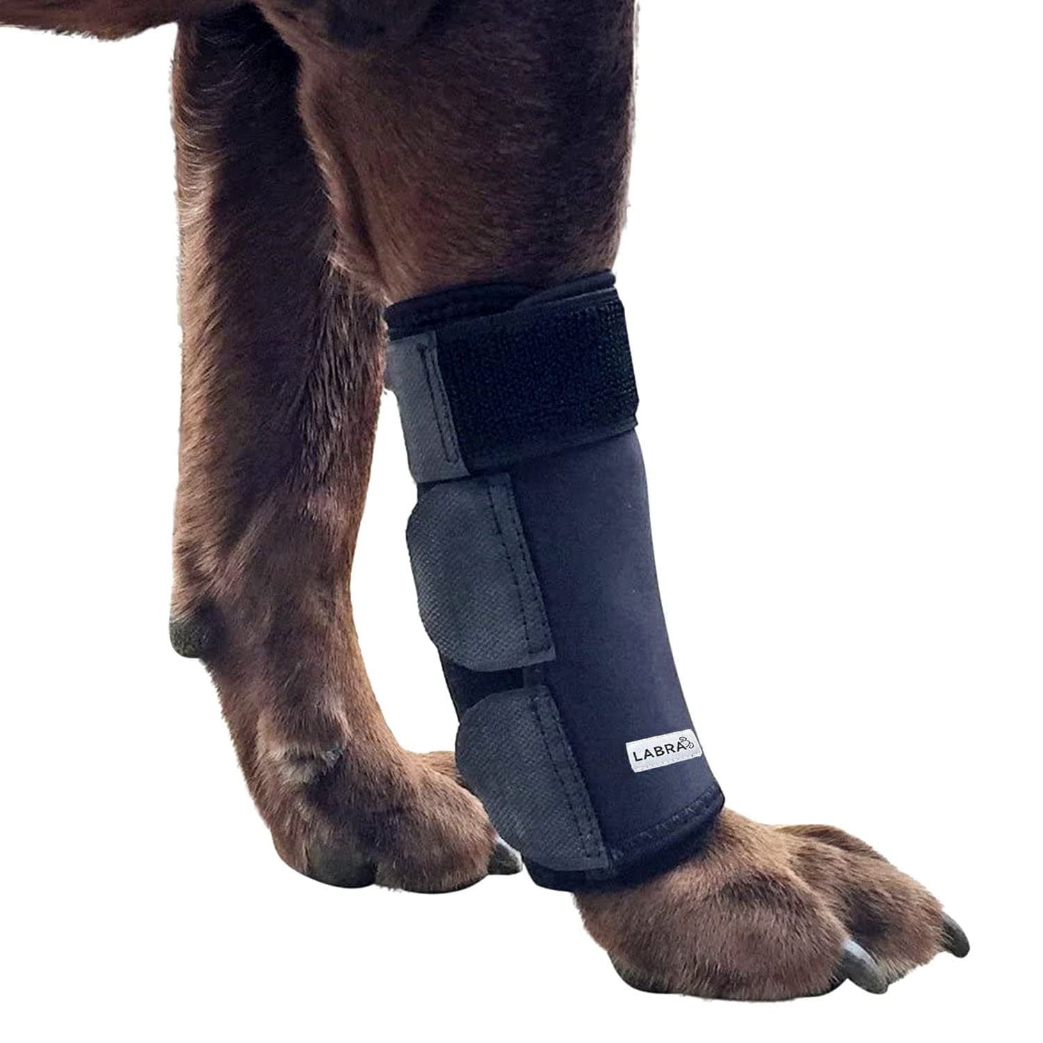 Labra Dog Canine Front Leg Compression Brace Wrap Sleeve, Protects Wounds, Braces, Heals, and Prevents Injuries and Sprains, Helps with Loss of Stability Caused by Arthriti - Small/Medium