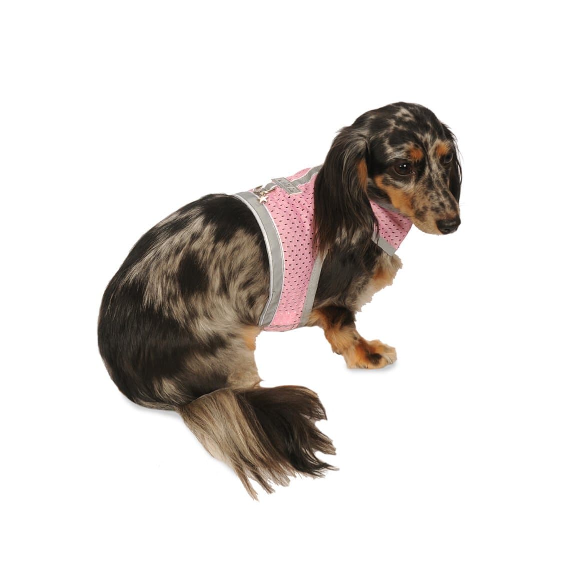 Athletic Mesh Dog Harness for Teacup, XSmall - Small Dogs and Puppies | Reflective Trim and Comfortable Velcro Closure
