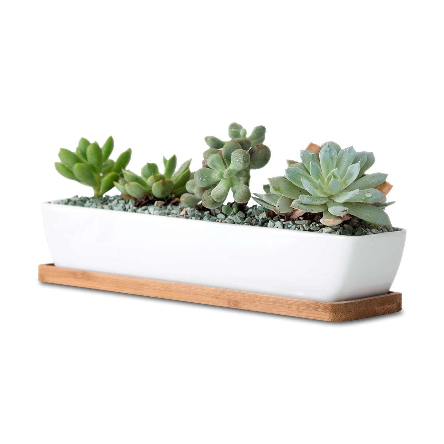 11inch Long Rectangle White Ceramic Succulent Planter Pots/Mini Flower Plant Containers with Bamboo Saucers. Product Size:11x2.23x1.69inch,not Include The Plant. (Long Rectangle)