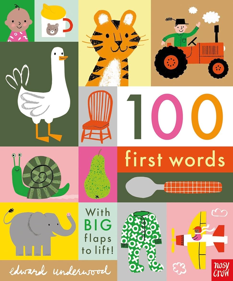 100 First Words: With BIG flaps to lift!: 1