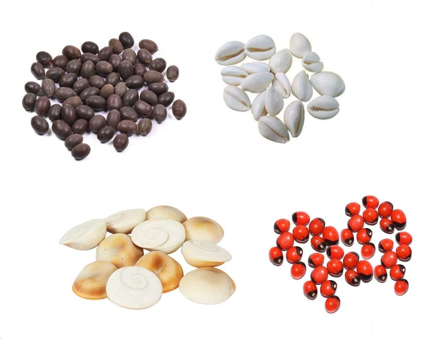 SSKR Red Gunja Chirmi Beads, Kamal Gatte and White Kauri/Kaudi and Gomti Chakra, Small - Set of 11 Pieces