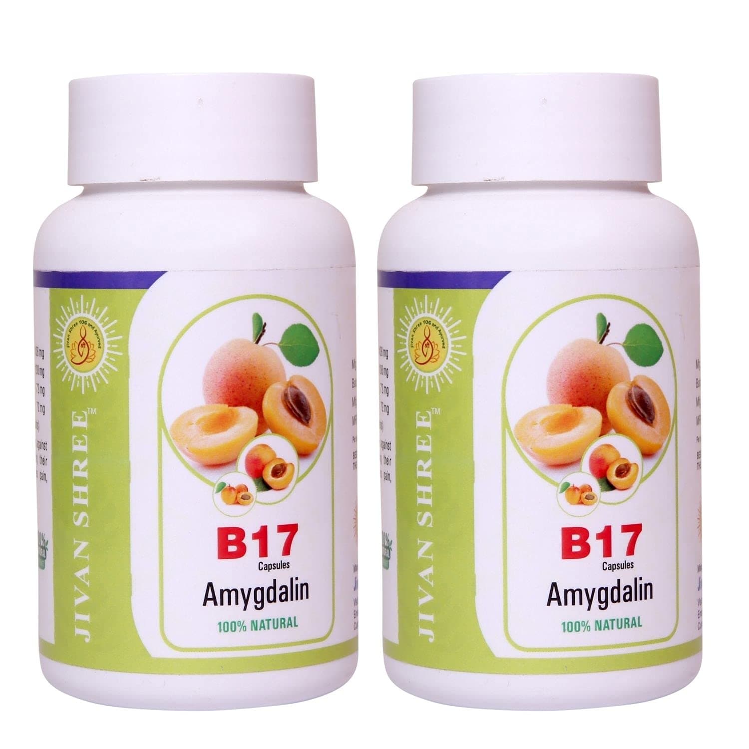 Vitamin B17 500 mg Purest Amygdalin 99.5% (Apricot Kernel) Extract 100% Organic Natural Antioxidant Immune Booster (Pack of 2 Bottles) (B17120)