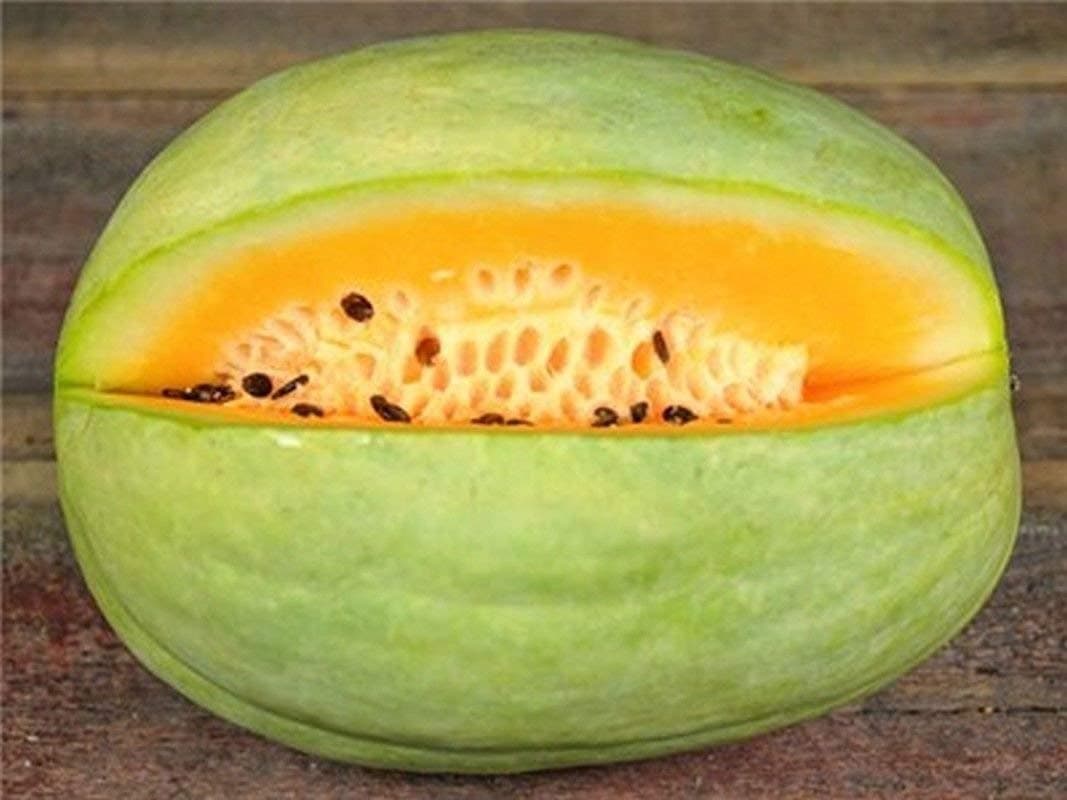 Desert King Watermelon Seeds (25 Seeds)