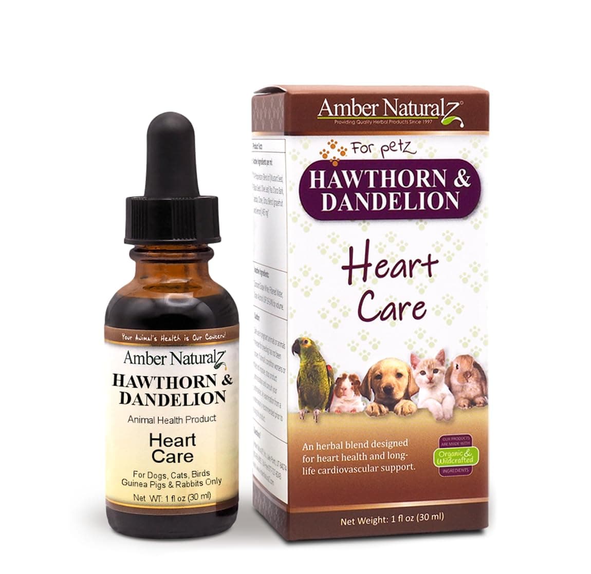 Amber NaturalZ Hawthorn & Dandelion Herbal Supplement for Dogs, Cats, Birds, Rabbits, and Guinea Pigs | Supports Heart Health, Circulation, and Fluid Balance | Natural Cardiovascular Care 1 FL Oz