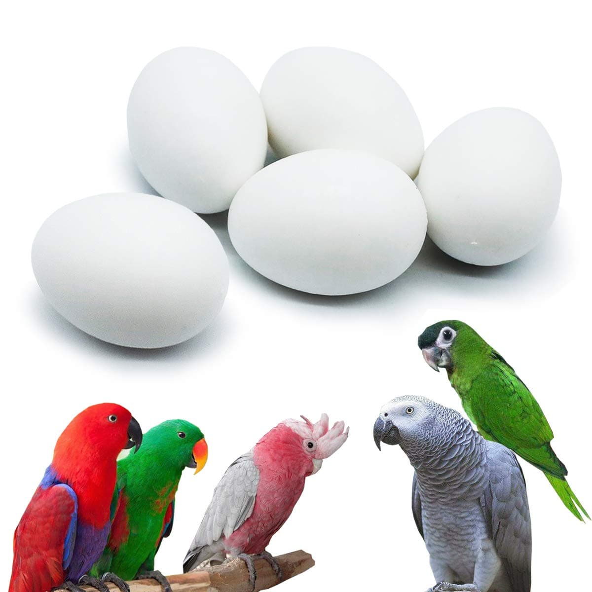 FOIBURELY 5 Pcs Solid Parrot Dummy Eggs Hatching Eggs Mini Macaw Amazon Cockatoo African Grey Eclectus. Trick The Birds to Stop Laying Eggs, Dummy Eggs（37mm27mm）