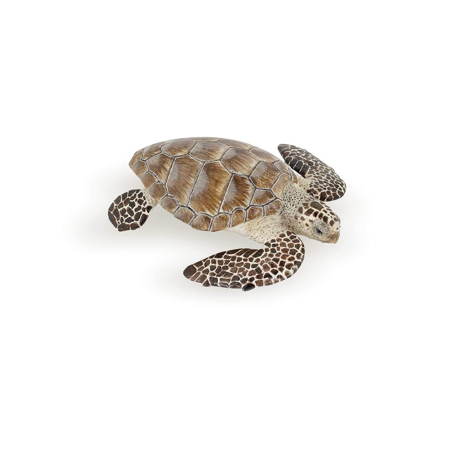 Papo - Loggerhead turtle - From 3 years old - Marine life Animals - Realistic figurine - Educational toy - Hand-painted - Collection - Decoration - Children's gift - Early years - Playful toy - 56005