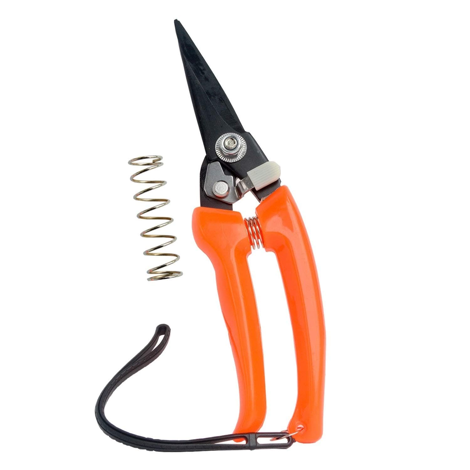 Goat Hoof Trimmers Sheep Hoof Trimming Shears Nail Clippers Carbon Steel Shrub Trimmer Floral Shears Gardening Scissors 8 inch Long