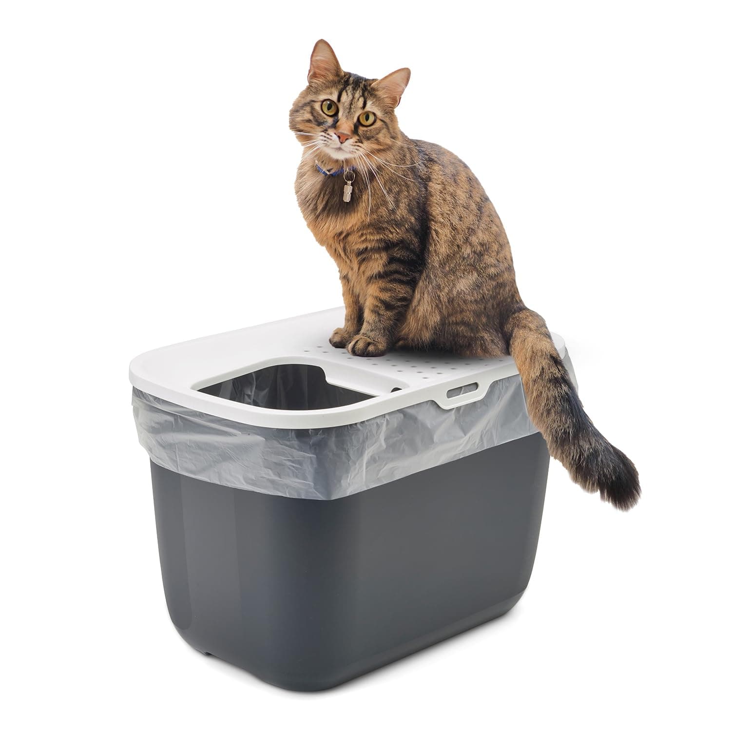 SavicHop in Modern Cat Litter Tray (Colour - Anthracite) Cat Toilet Box