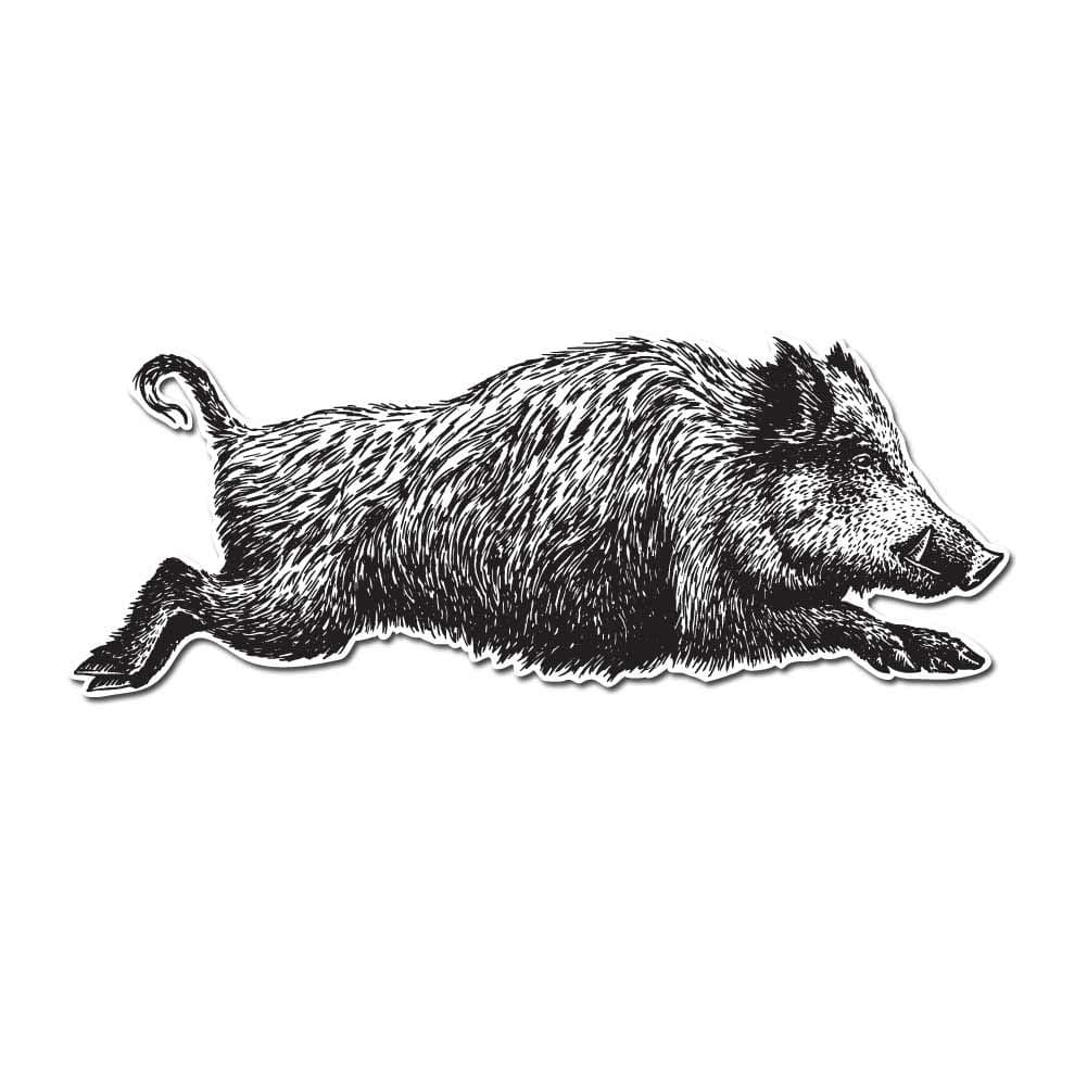 Realistic Wild Boar Sketch - 5 Inch Full Color Vinyl Decal for Indoor or Outdoor use, Cars, Laptops, Décor, Windows, and More