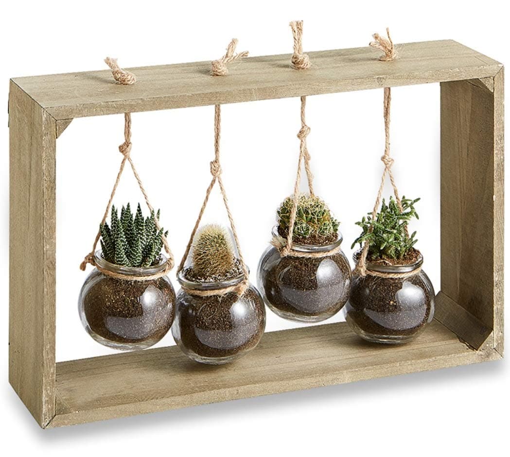 Glass Pots/Planter/Vase/Terrarium Hanging on Large Wooden Frame for Indoor/Outdoor Home Garden -Set of 4