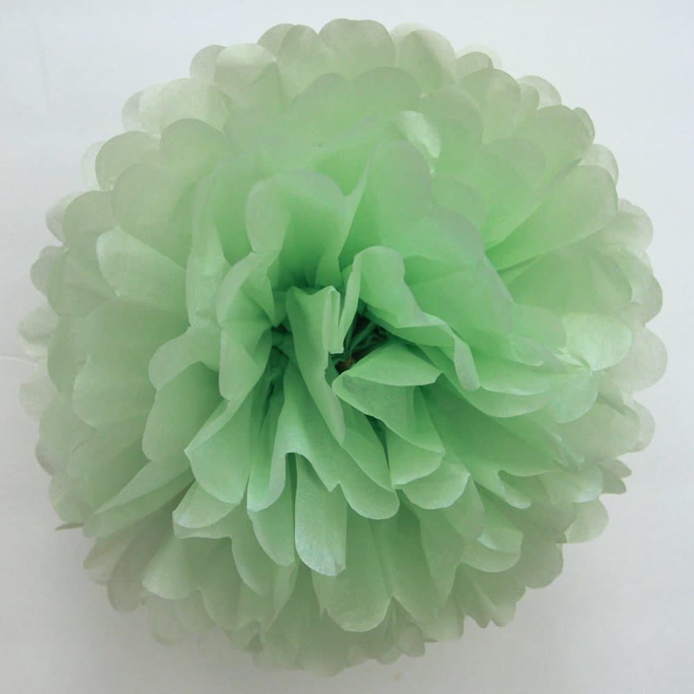 Set of 5 Tissue Paper Pom Pom - PomPomSale Brand - Wedding / Baby Shower / Birthday Party / Nursery Decorations (Small 9", Light Green)