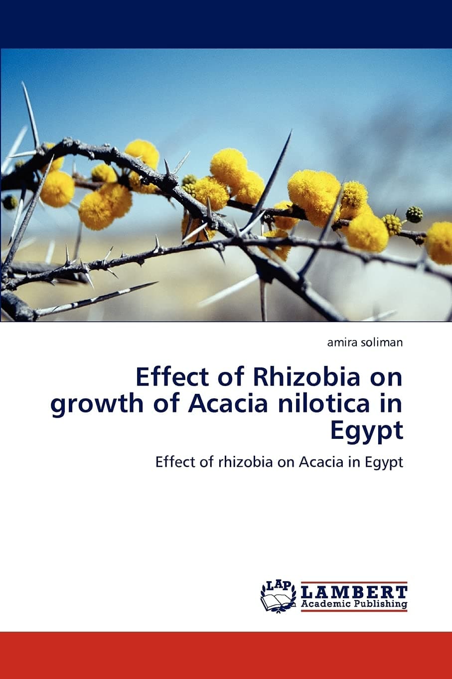 Effect of Rhizobia on growth of Acacia nilotica in Egypt: Effect of rhizobia on Acacia in Egypt Paperback – January 20, 2012