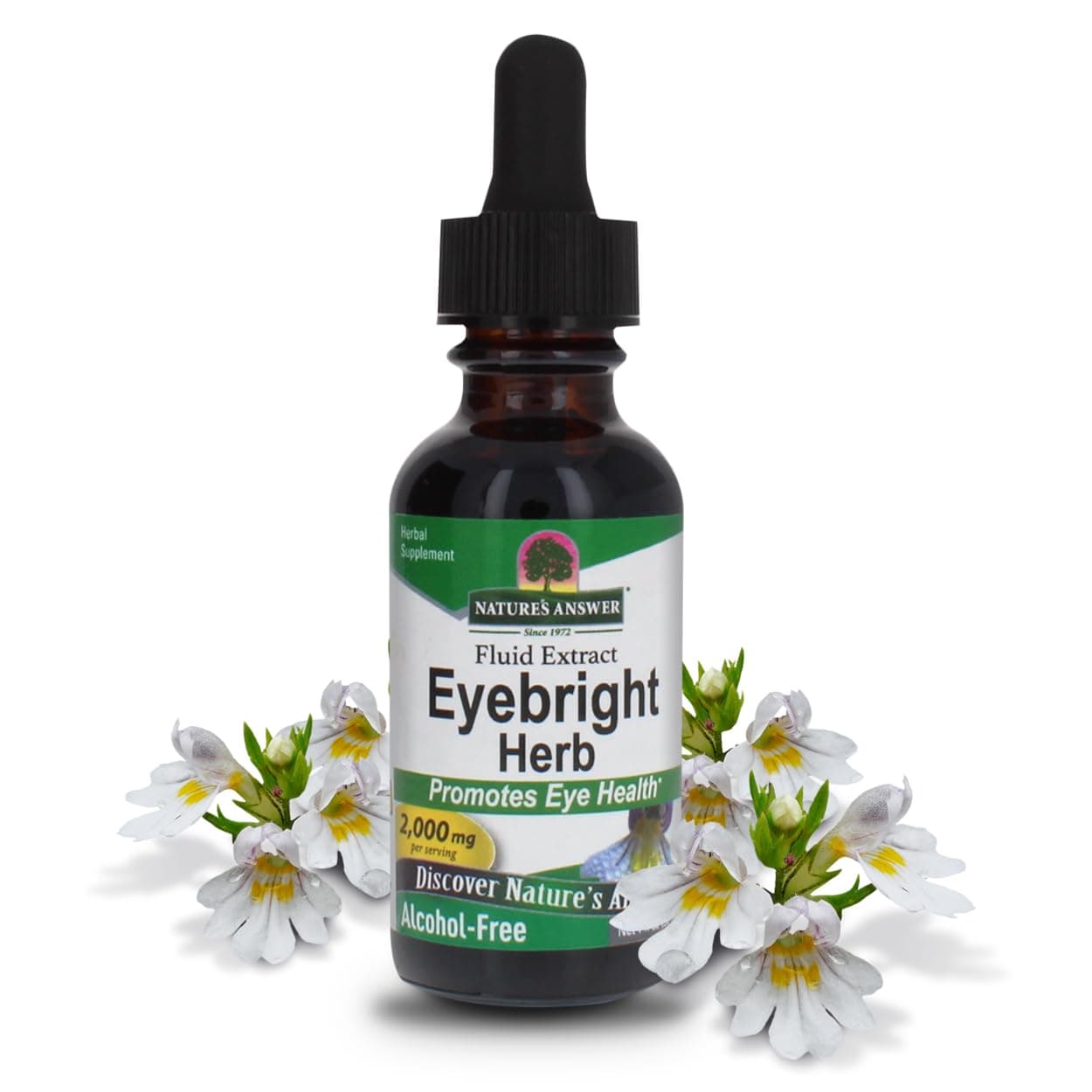 Eyebright (Augentrost) | Alkoholfrei | 2000 mg | 30 ml | glutenfrei