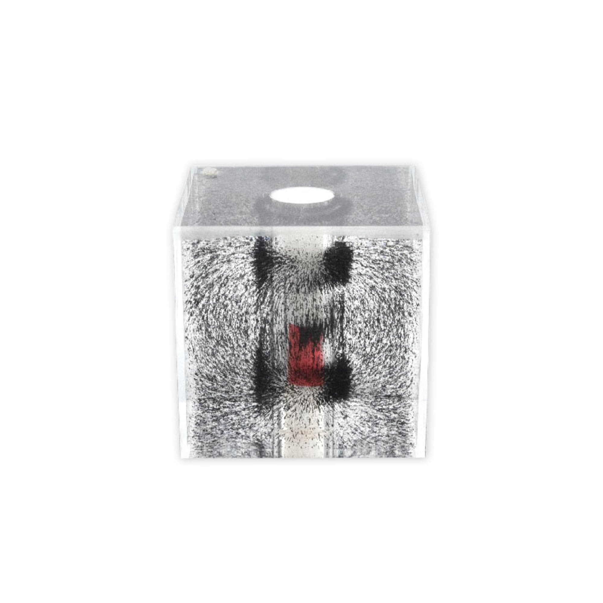 Acrylic Cube Magnetic Snow Globe with Iron Filings & Fluid