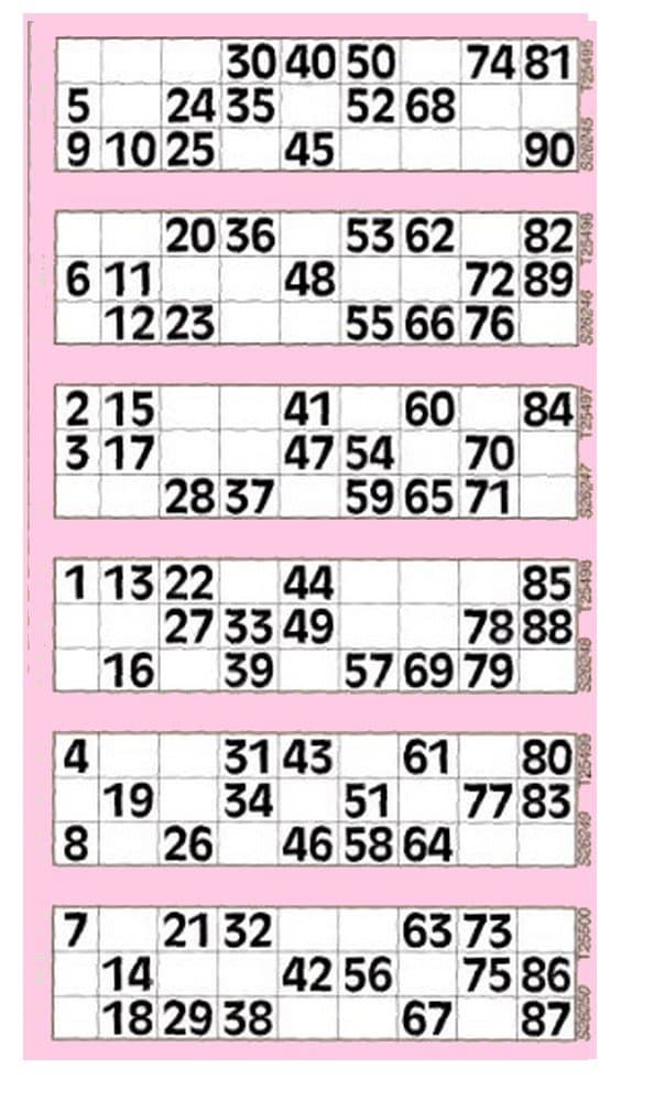 Bingo Tickets pads 600 Tickets per pad 6 to view variety of colours (Pink)