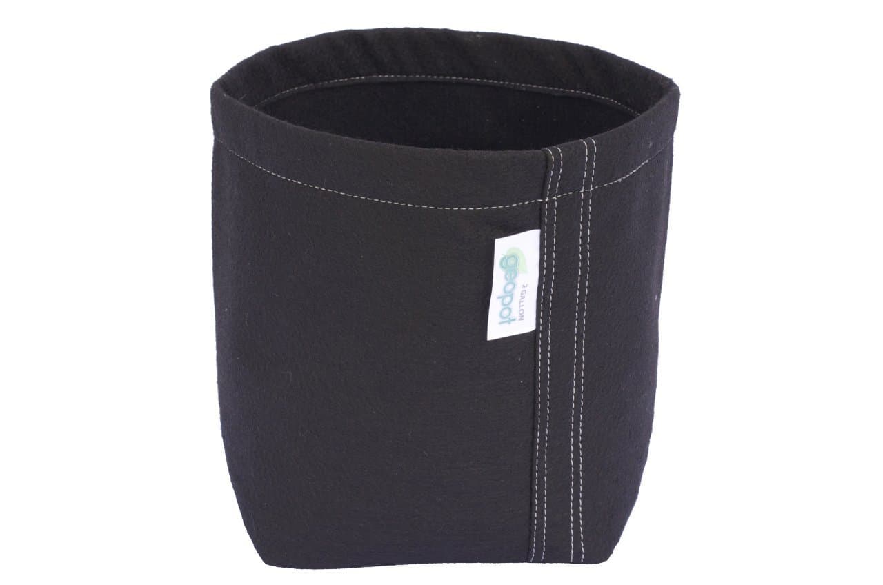 Geo Planter Self-Supporting GeoPot-2 Gal.-50/Case-Black