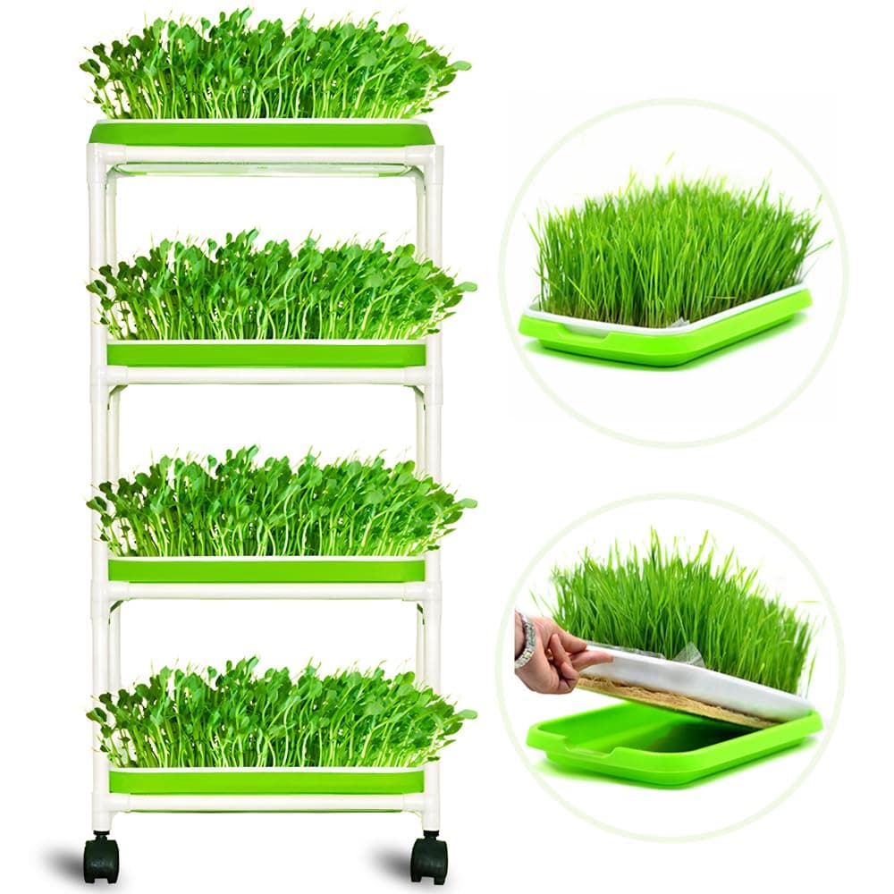 4 Layers Sprout Trays with Extra Strength Plastic Shelf Soil-Free Healthy Wheatgrass Seeds Grower & Storage Trays for Home Office