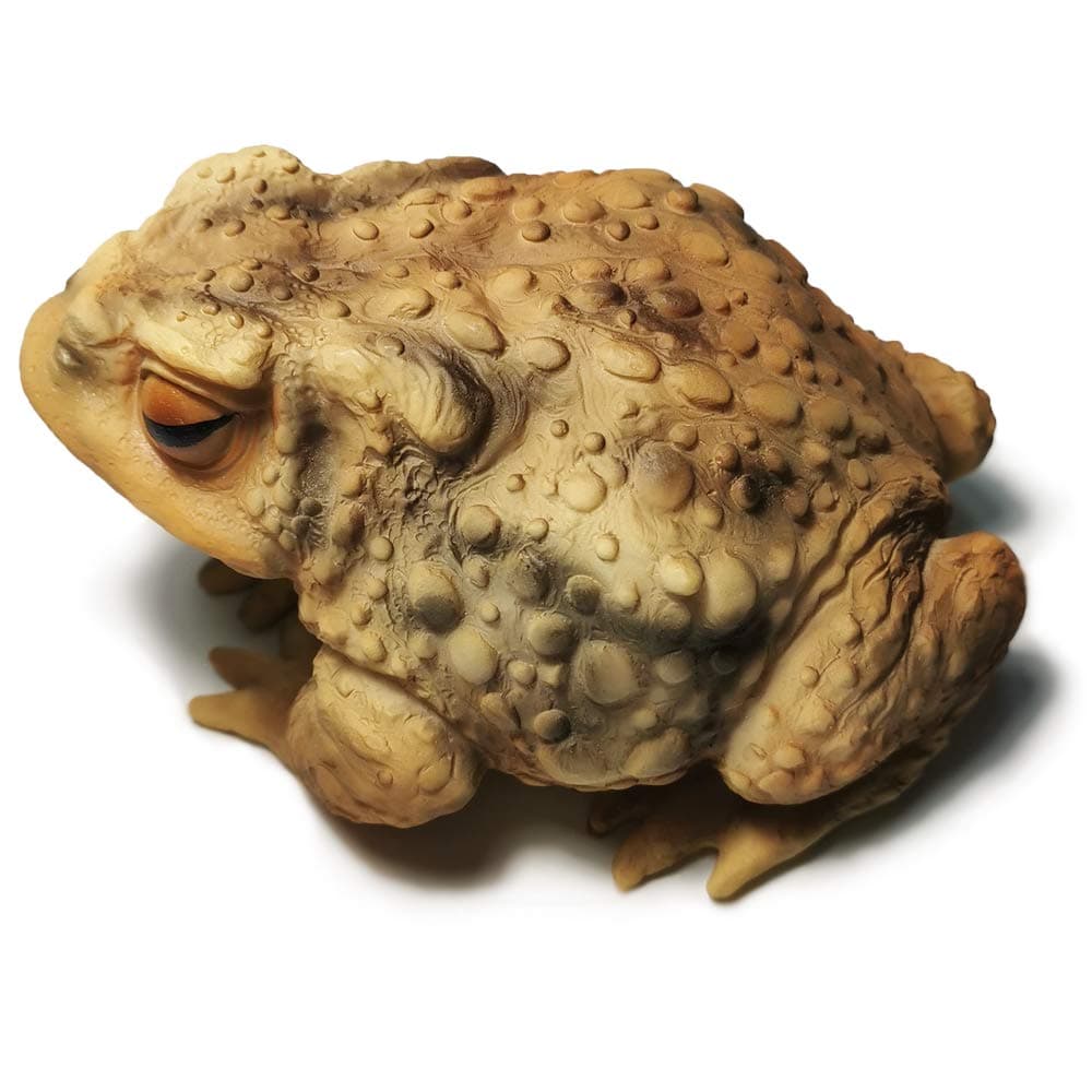 Sunthus Frog Toad Sculptures Garden Statues Yard Art Resin Decorations Outdoor Garden Decor