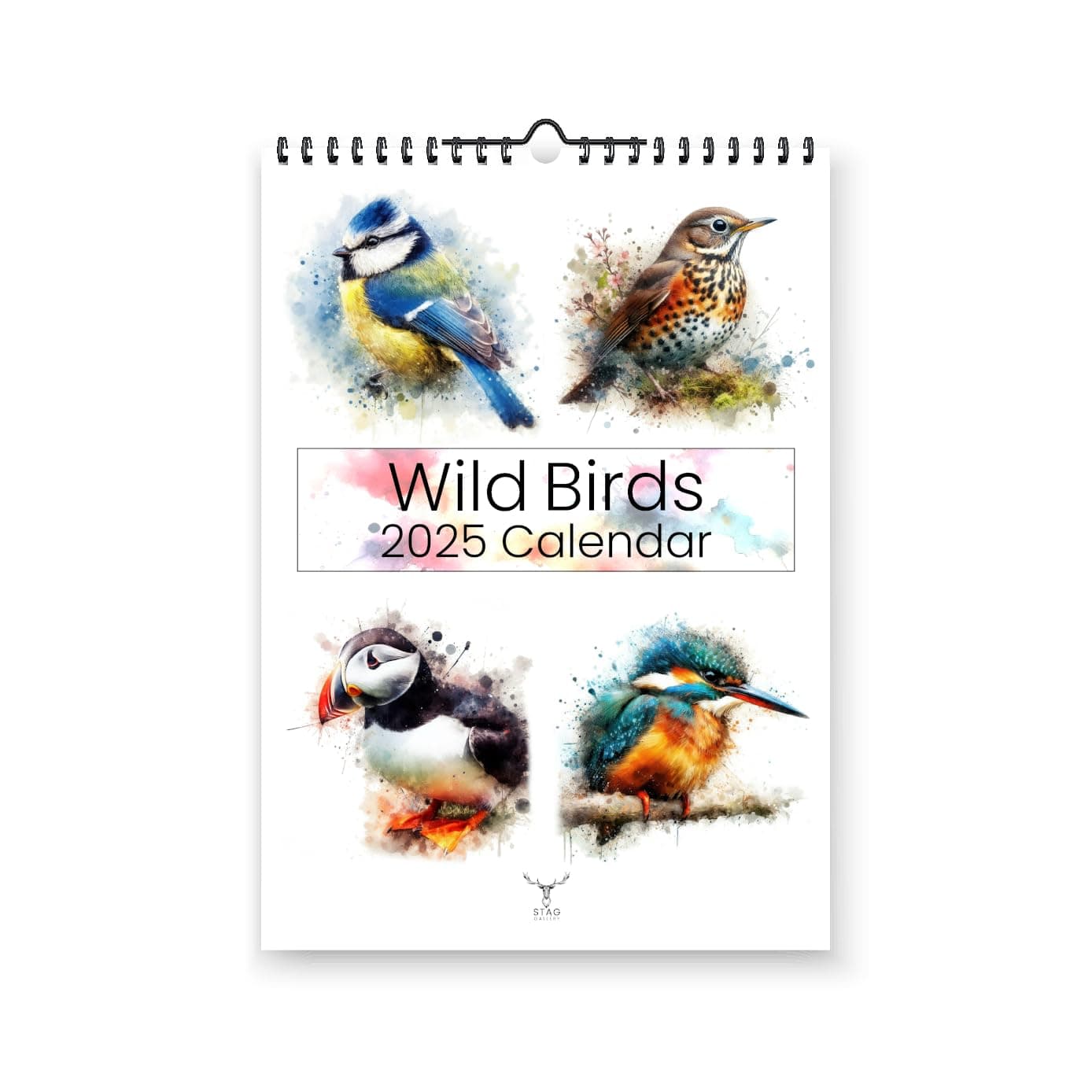 British Wild Birds 2025 Yearly Wall Hanging Calendar - Splash Effect Watercolour Prints