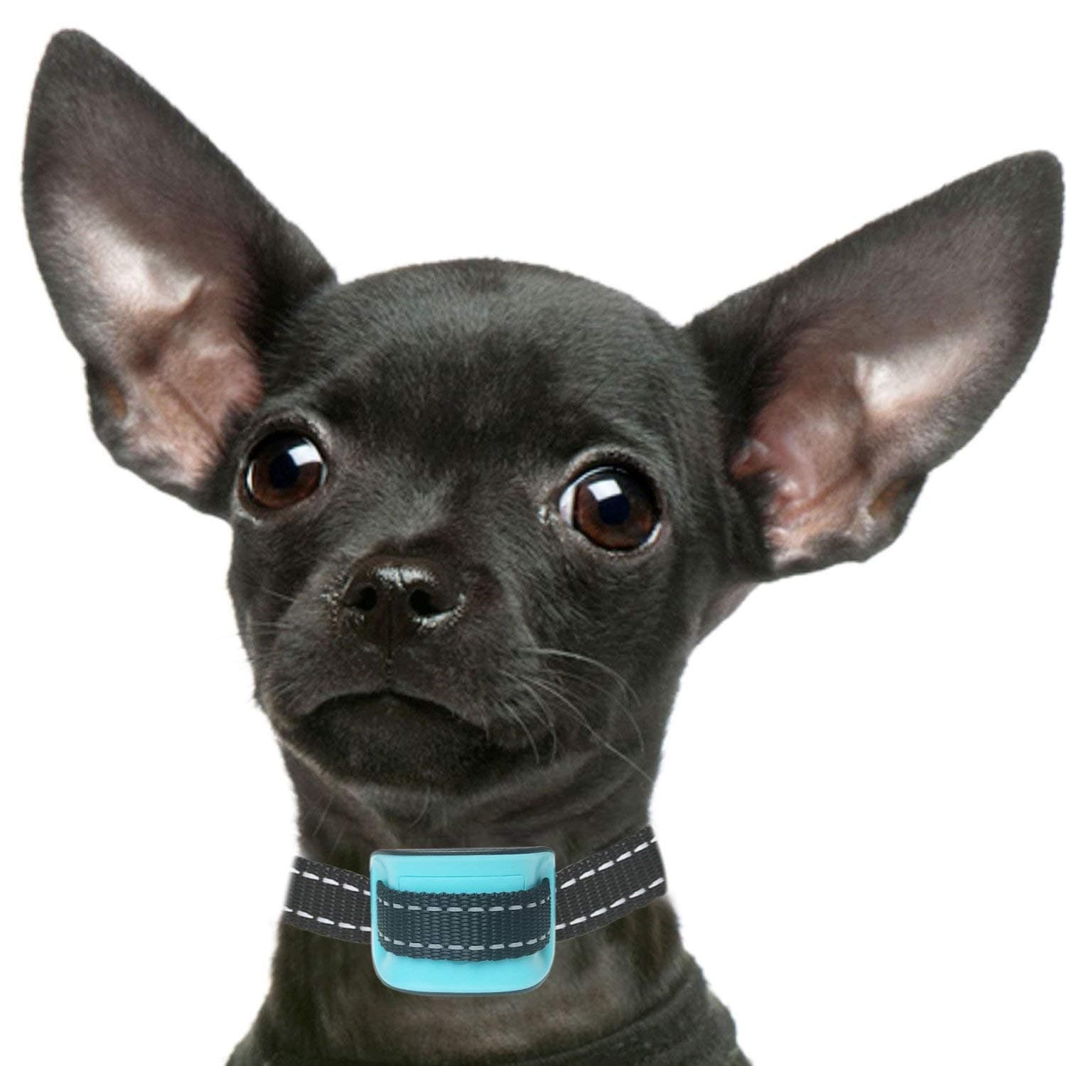 Barking Collar For Small Dogs, Blue Anti Bark Collar, Perfect For Training Small Dogs And Puppies No Shock Dog Collar With Extended 6 Month Warranty And Extra Batteries Included (Small)