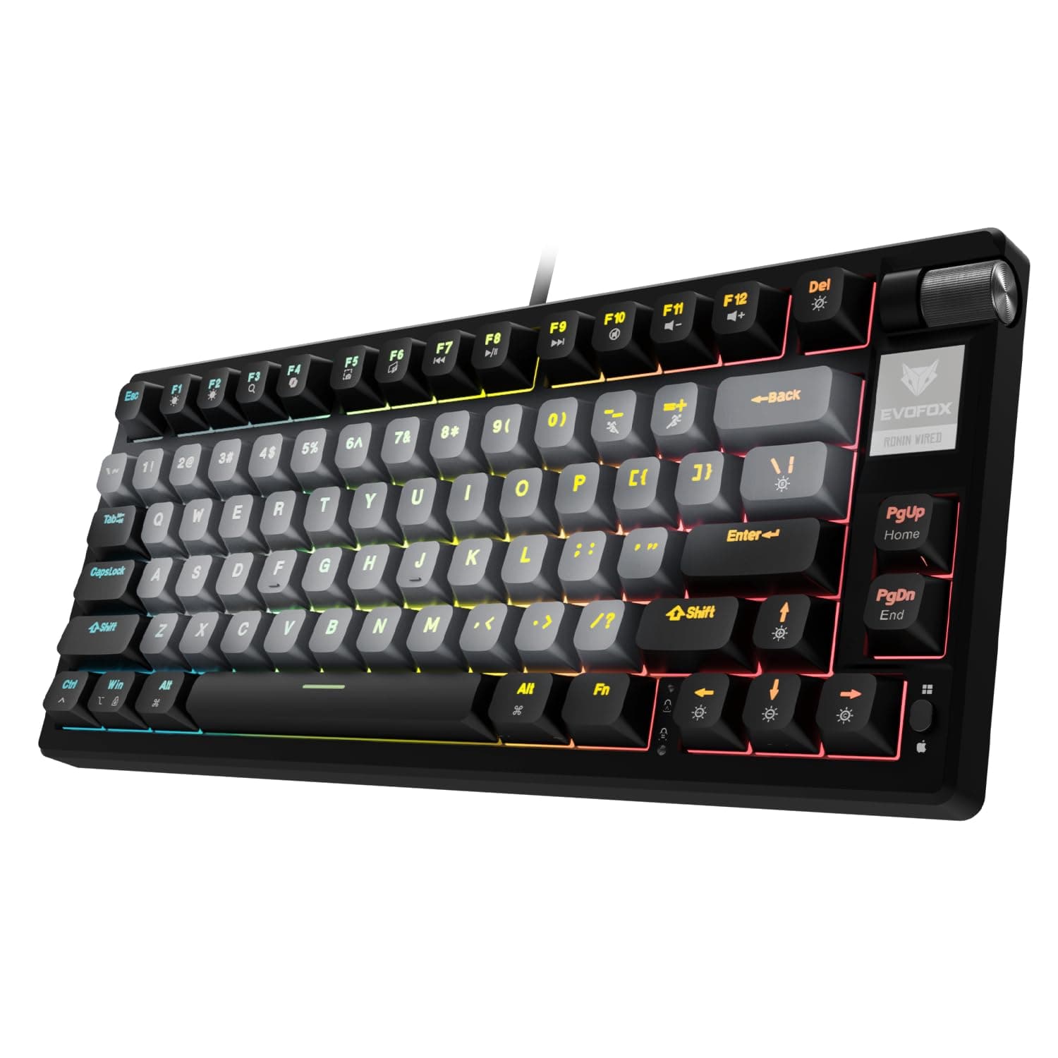 EvoFox Ronin TKL Wired Mechanical Gaming Keyboard | Sound Damping Design Outemu Red Silent Switches, Hot-Swap, By RGB Key, NKey Rollover, Volume Button