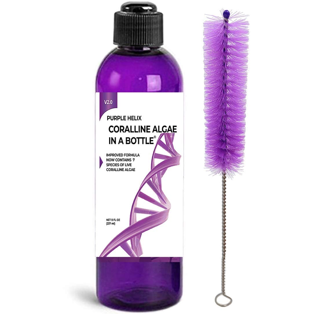 Coralline Algae in a Bottle Purple Helix Live Algae Spores for Saltwater Aquarium and Reef Tanks