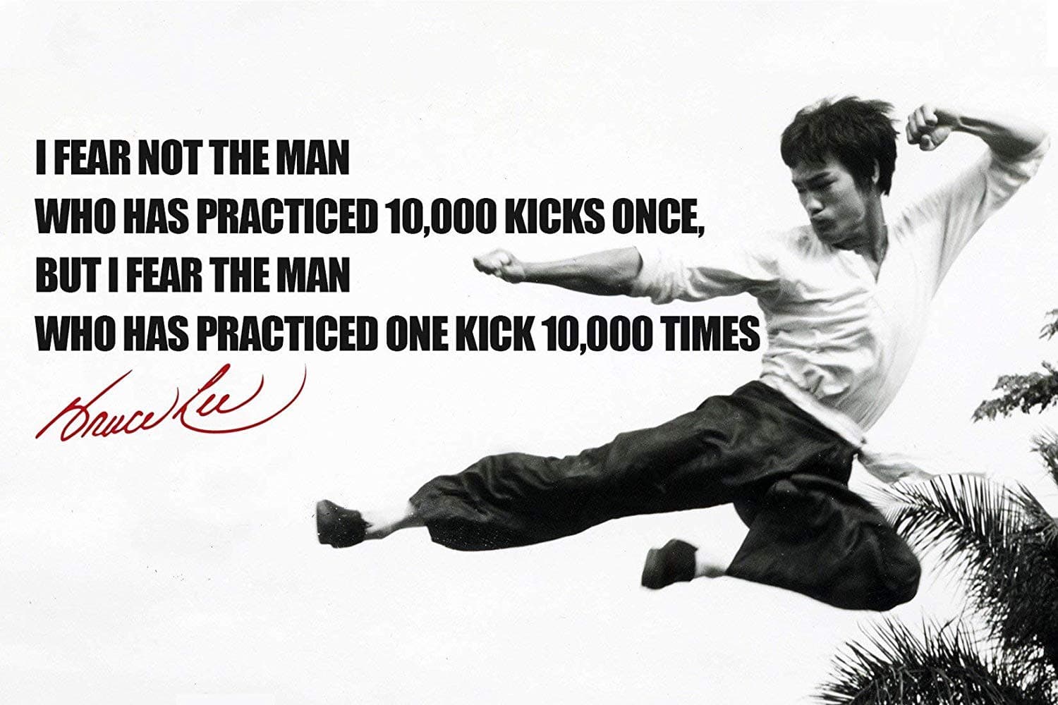 I Fear not - Bruce Lee - Small Poster Paper (12 x 18 inches) - Multi- Colour