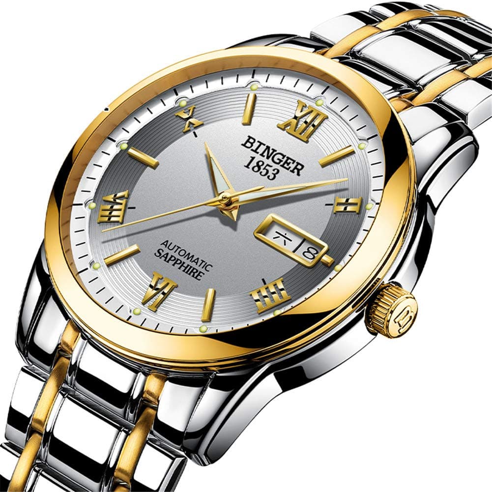 BINGER Switzerland Men Rose Gold Watches,Sapphire Japan Movement Automatic Skeleton Mechanical Casual Wristwatch 107 Self Winding,D