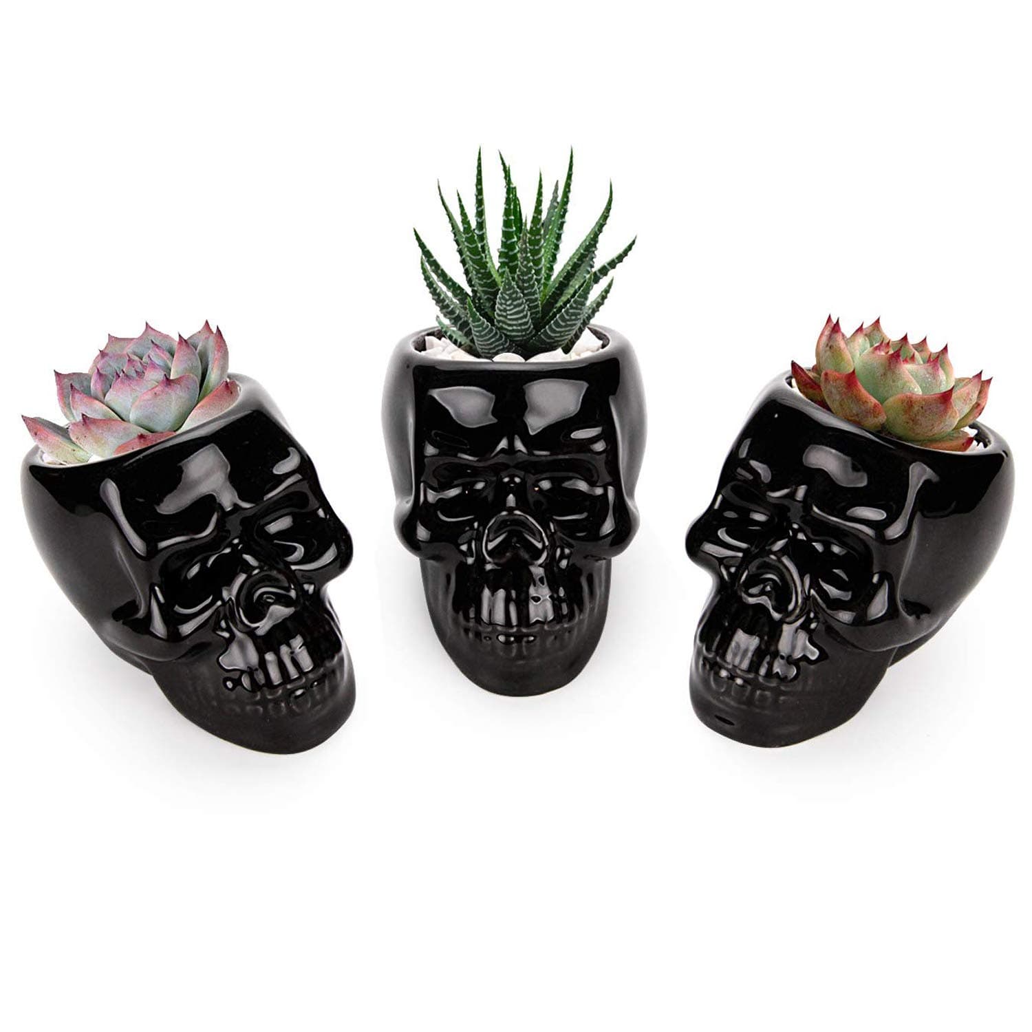 T4U Skull Succulent Planter Pots Set of 3, Gothic Caramic Planter, Creative Plant Lover Gifts for Christmas Birthday House Warming, Cactus Plant Pot Pen Pencil Holder for Home Office Decor, Black