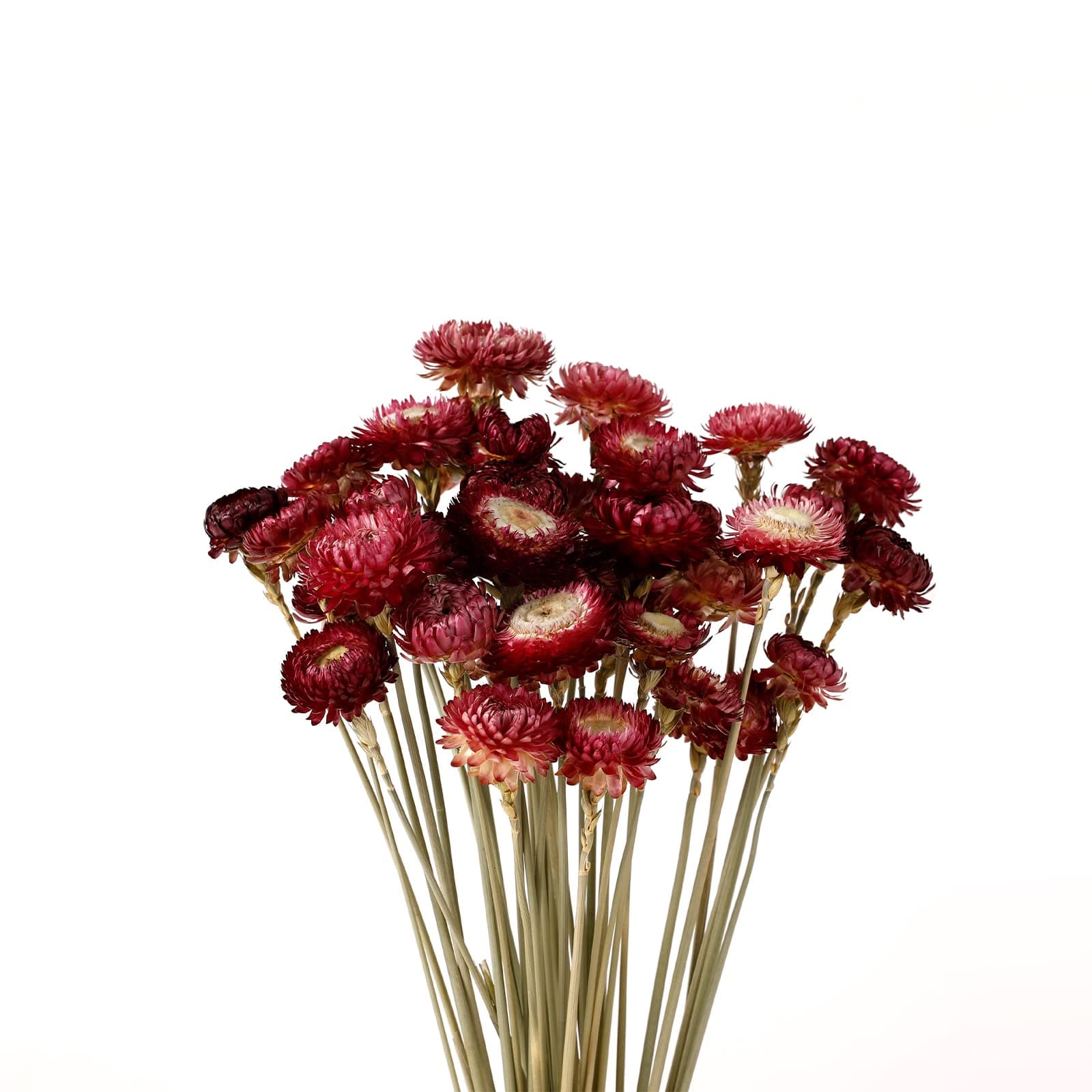 Dried Flower 40PCS Daisy Bouquet 100% Natural Chrysanthemum Dry Flower with Stem for Vase Home décor Party DIY Arrangement Wheat Straw Bulk (Burgundy)