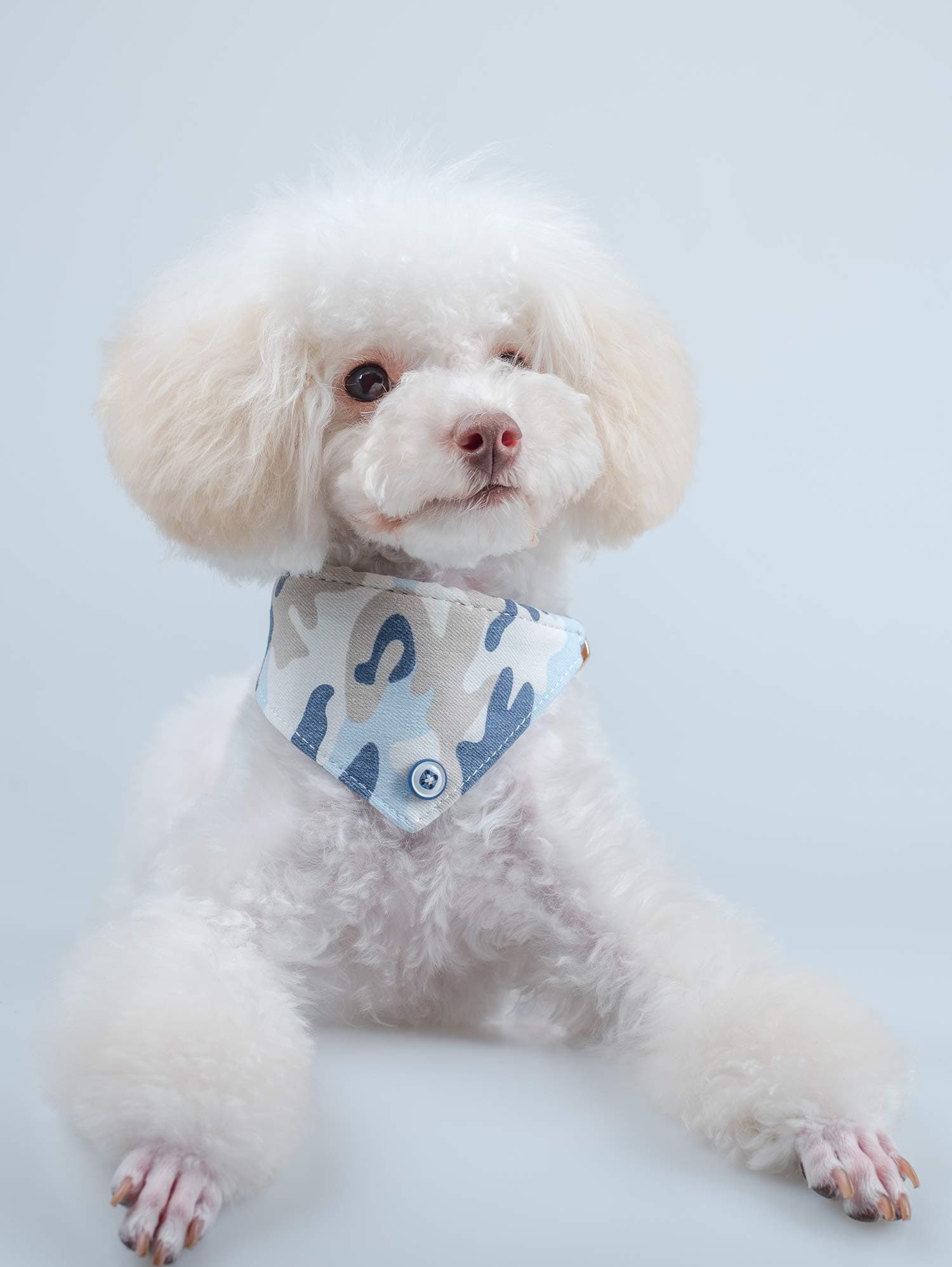 Small Dog Collar Puppy Cat Tiny Pet Bow Tie & Bandana 2pcs Set PU Leather Canvas Scarf Durable camo-Blue