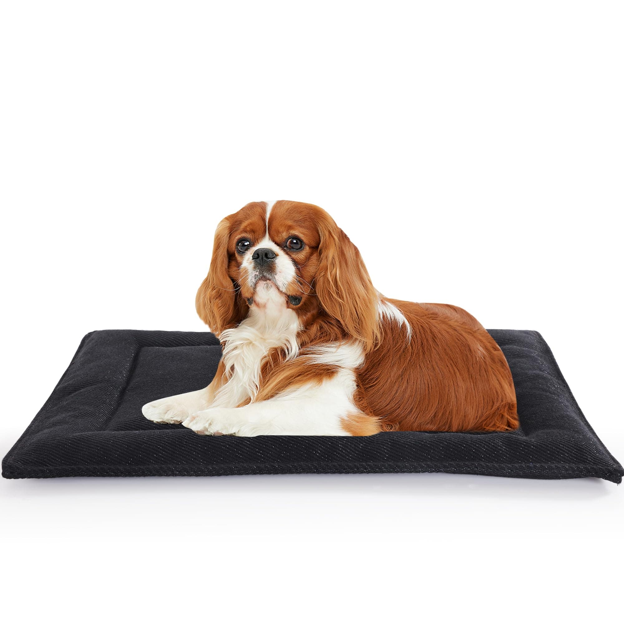 MABOZOOIndestructible Dog Bed for Aggressive Chewers,Black Tough Chew Proof Durable Dog Crate Pad/Mat,Machine Washable,22x35 in