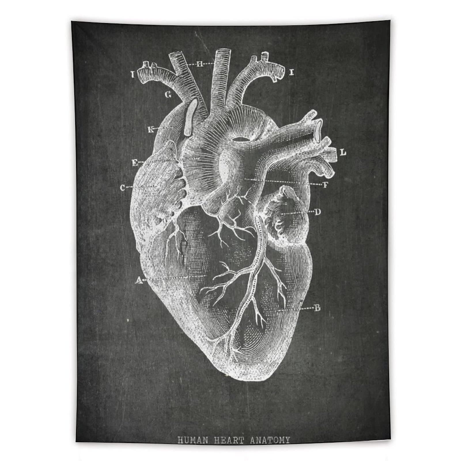 KIKIKI Chalkboard Anatomy Human Heart tapestrys Art tapestrys Body Art tapestry Polyester Painting Tapestry Wall Art Prints Hanging Tapestries Bedroom Home Modern Decoration 60"x80"