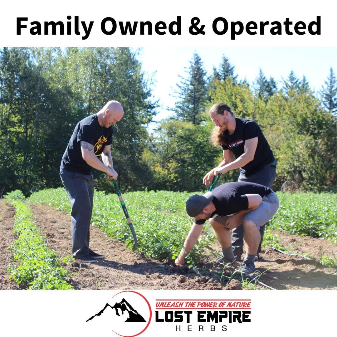 Lost Empire Herbs Hercules Pre Workout Herbal Supplement from No Additives Just Cistanche, Rhodiola, Cordyceps, Shilajit, Polyrhachis Ant & Maral Root to Boost Performance (Powder 100g)