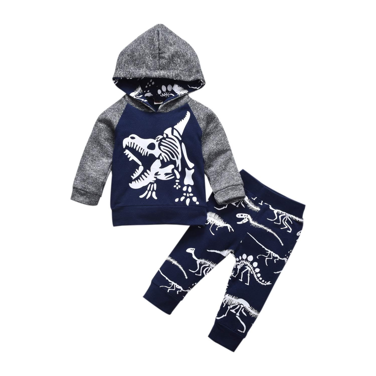 HINTINABaby Boys Dinosaur Long Sleeve Hoodie Tops Sweatsuit Pants Winter Outfit Set