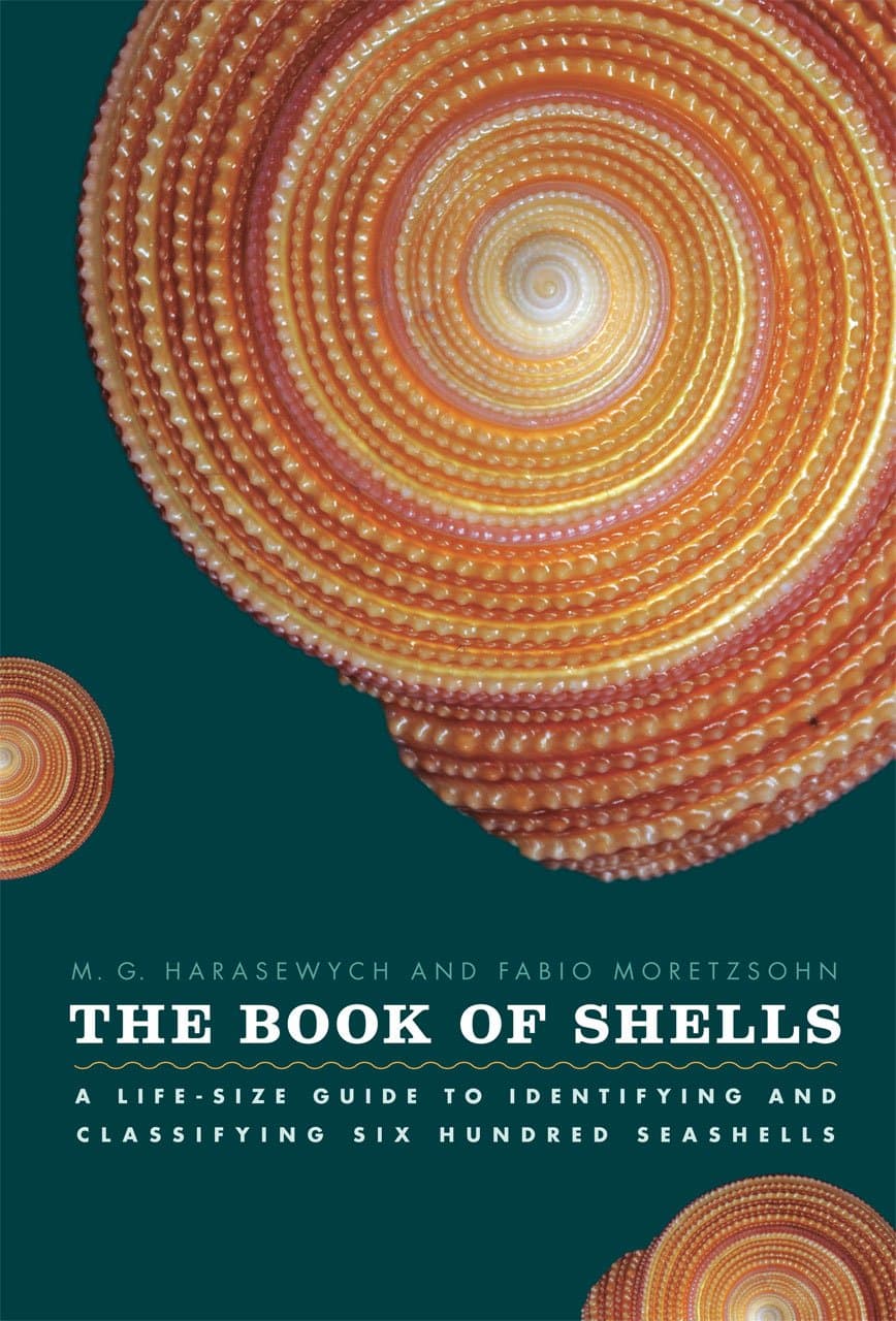 The Book of Shells: A Life-Size Guide to Identifying and Classifying Six Hundred Seashells (Life-Size Guides to the Best of Nature)