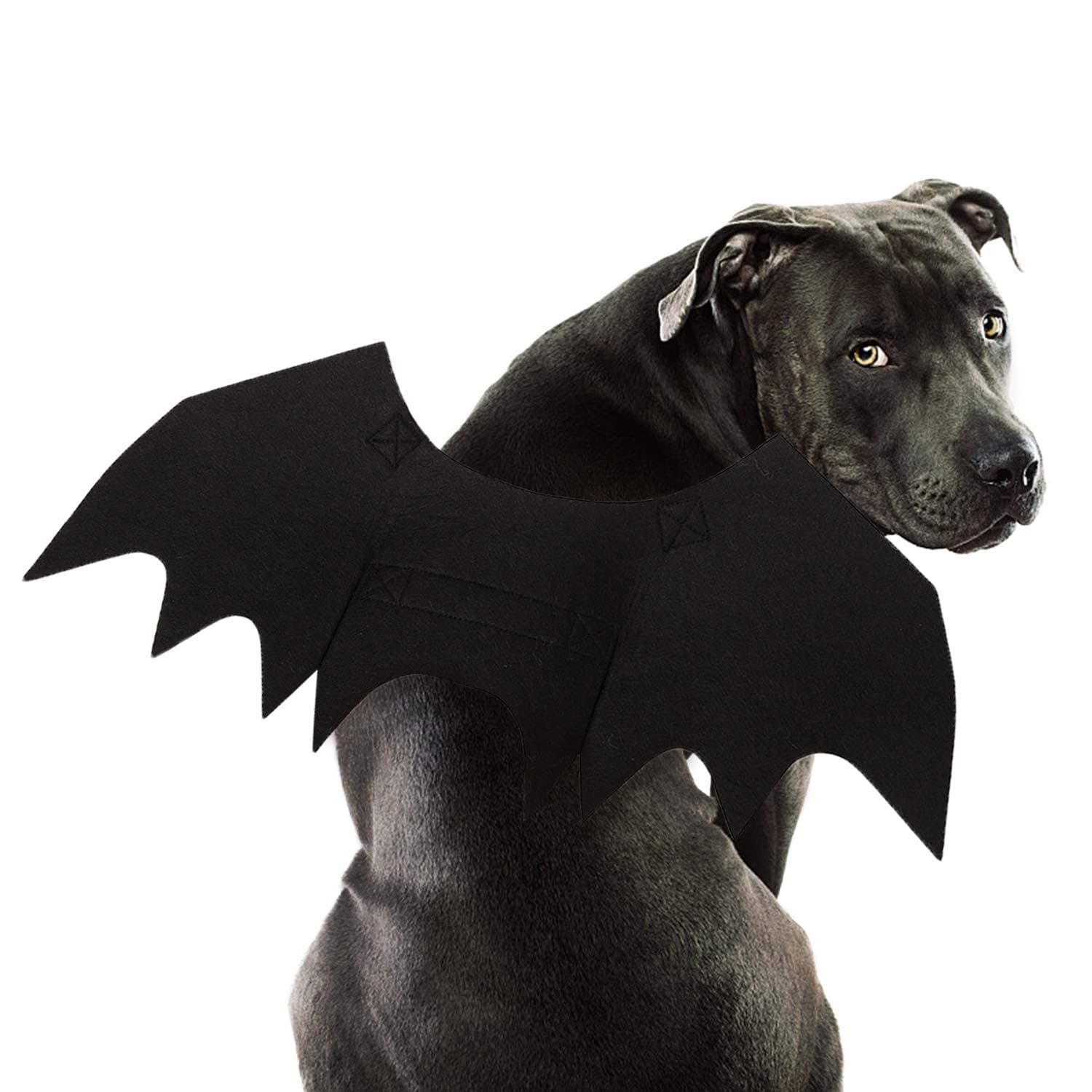 RYPET Torimfe Bat Wings Cosplay Dog Costume for Party, Large