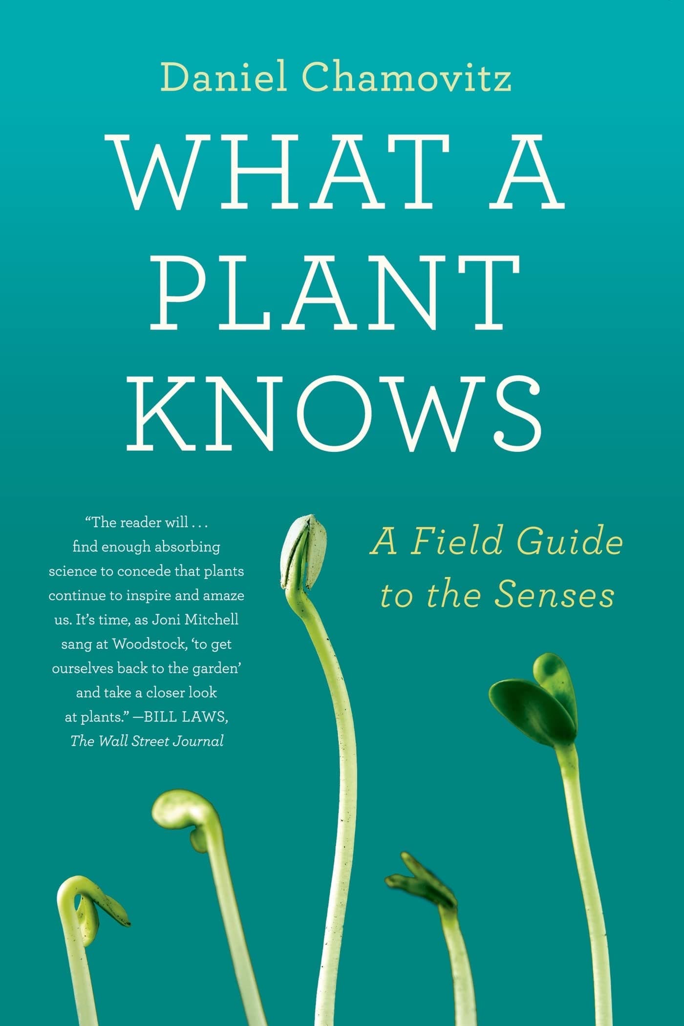 What a Plant Knows: A Field Guide to the Senses Paperback – April 30, 2013