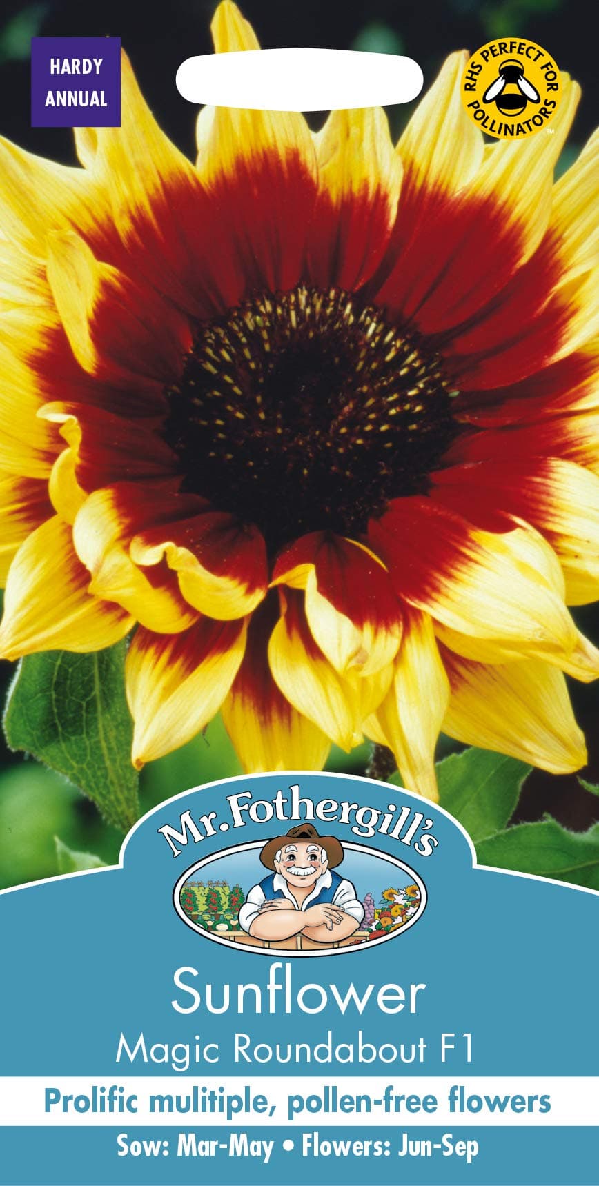 Mr Fothergills Magic Roundabout F1 Sunflower Seeds - 13605